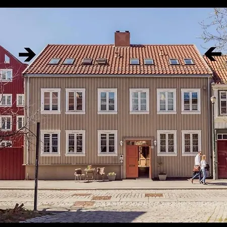 公寓 Nydelig I Bakklandet