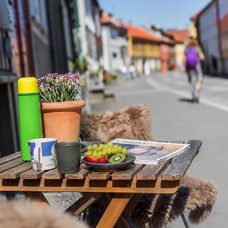Nydelig I Bakklandet Appartamento *