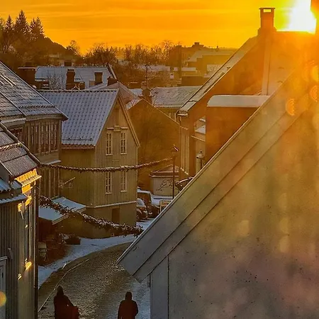 Nydelig I Bakklandet Appartamento