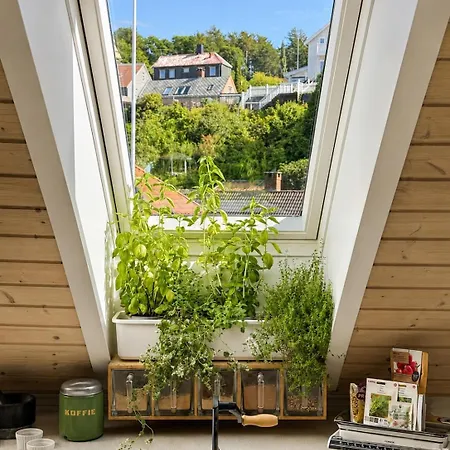 Appartamento Nydelig I Bakklandet Trondheim