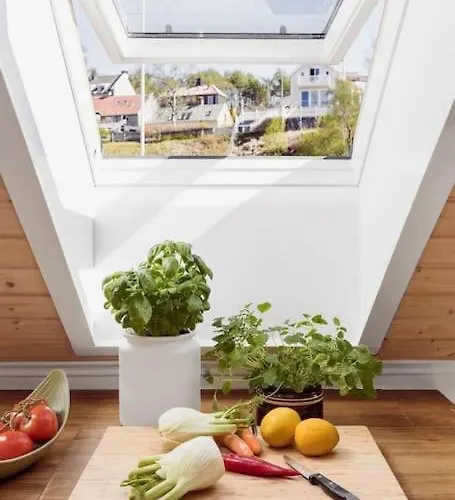 Nydelig I Bakklandet Apartamento *